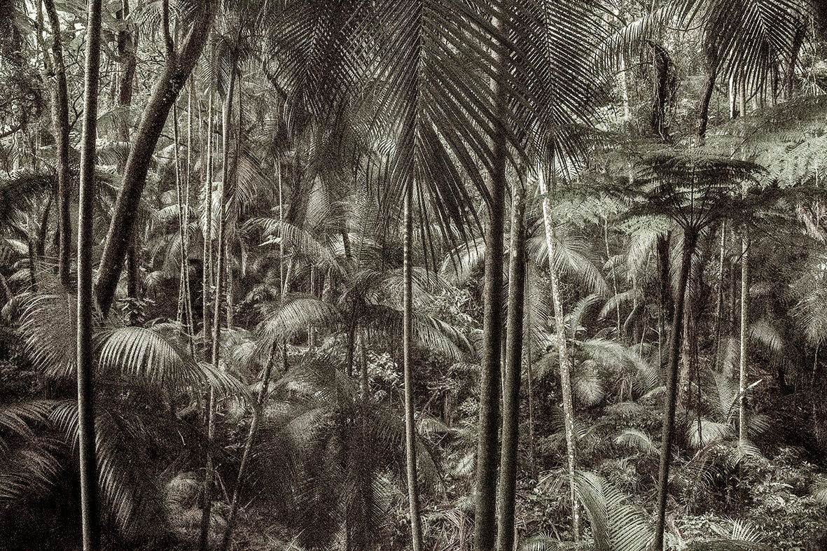 A picturesque voyage through Brazil #02